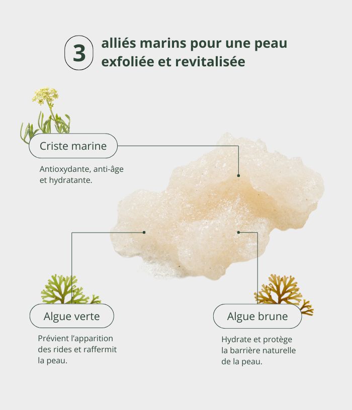 Granité exfoliant à la criste marine