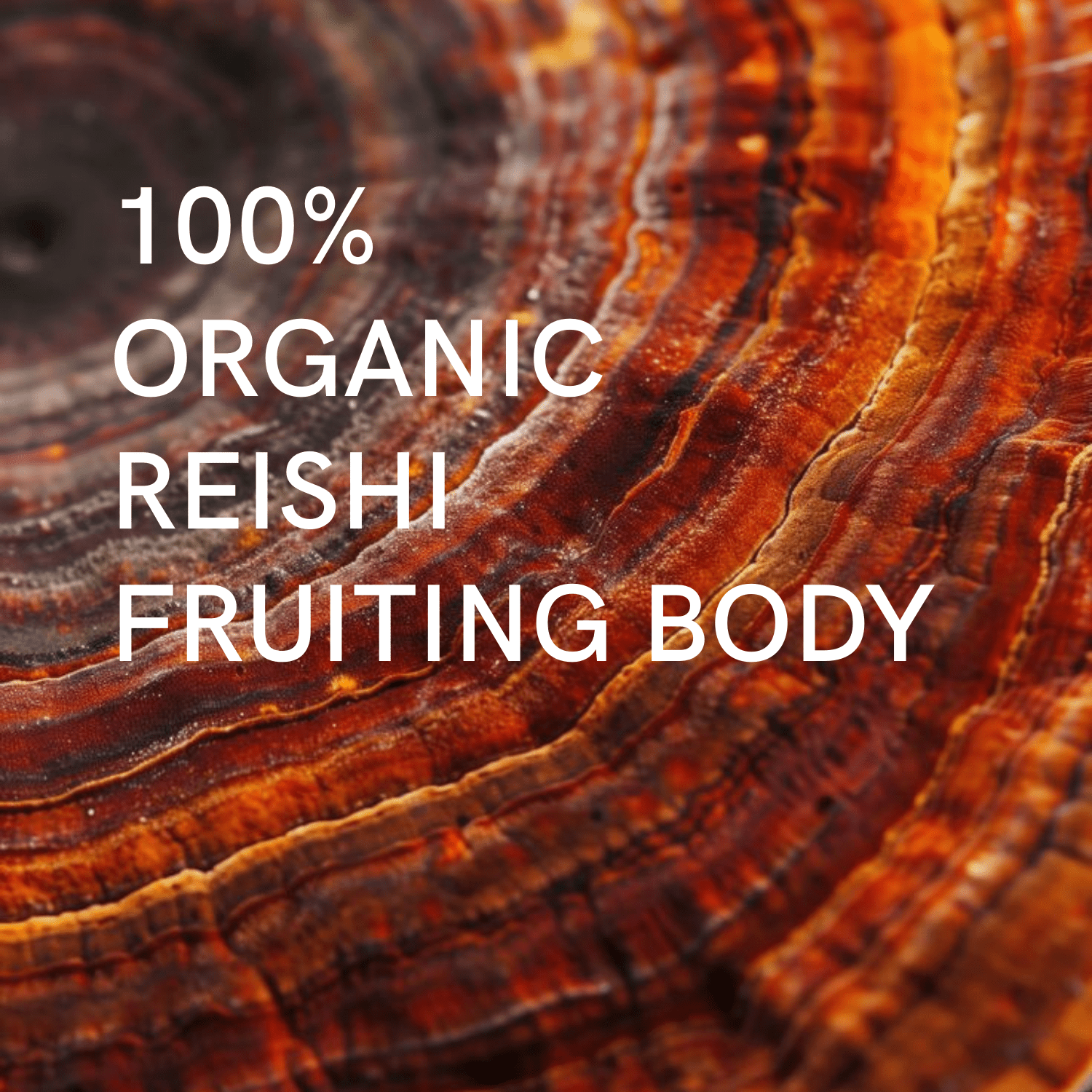 Extrait Reishi Bio