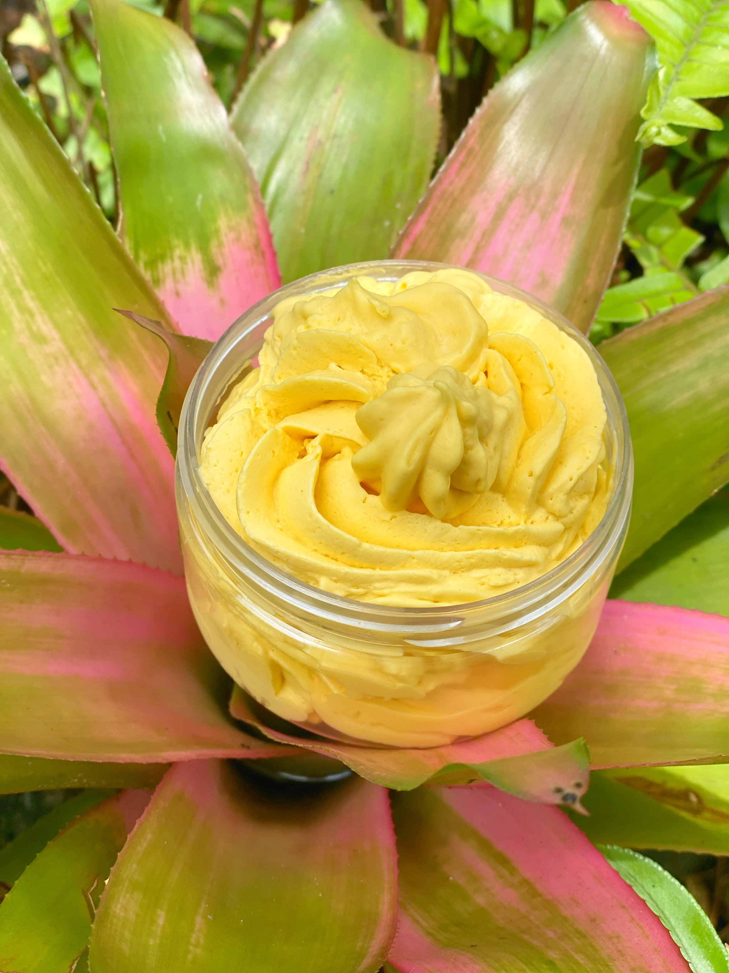 Curly Chantilly 🍦