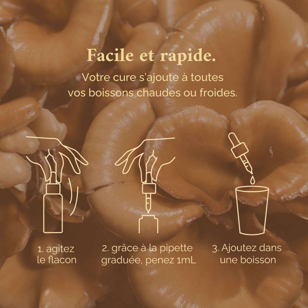 Pack Synergie – Terraphy x Rhodista