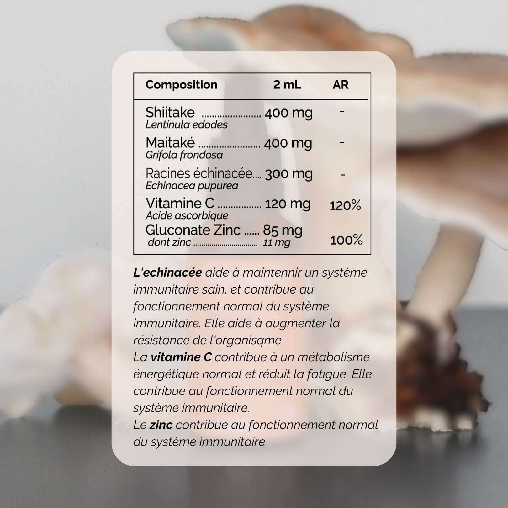 Pack Synergie – Terraphy x Rhodista