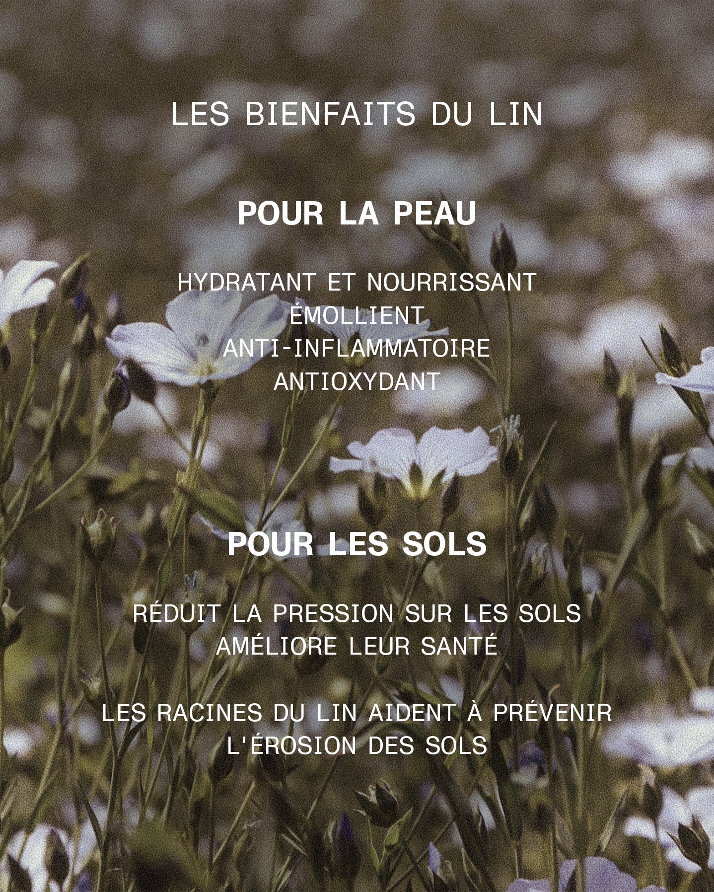 Sérum soin en baume sublimateur de teint
