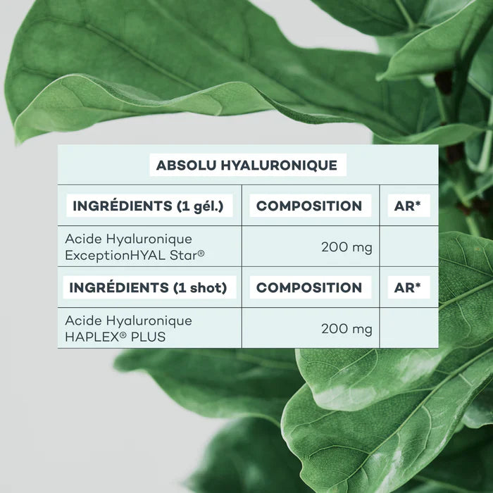 Absolu Hyaluronique