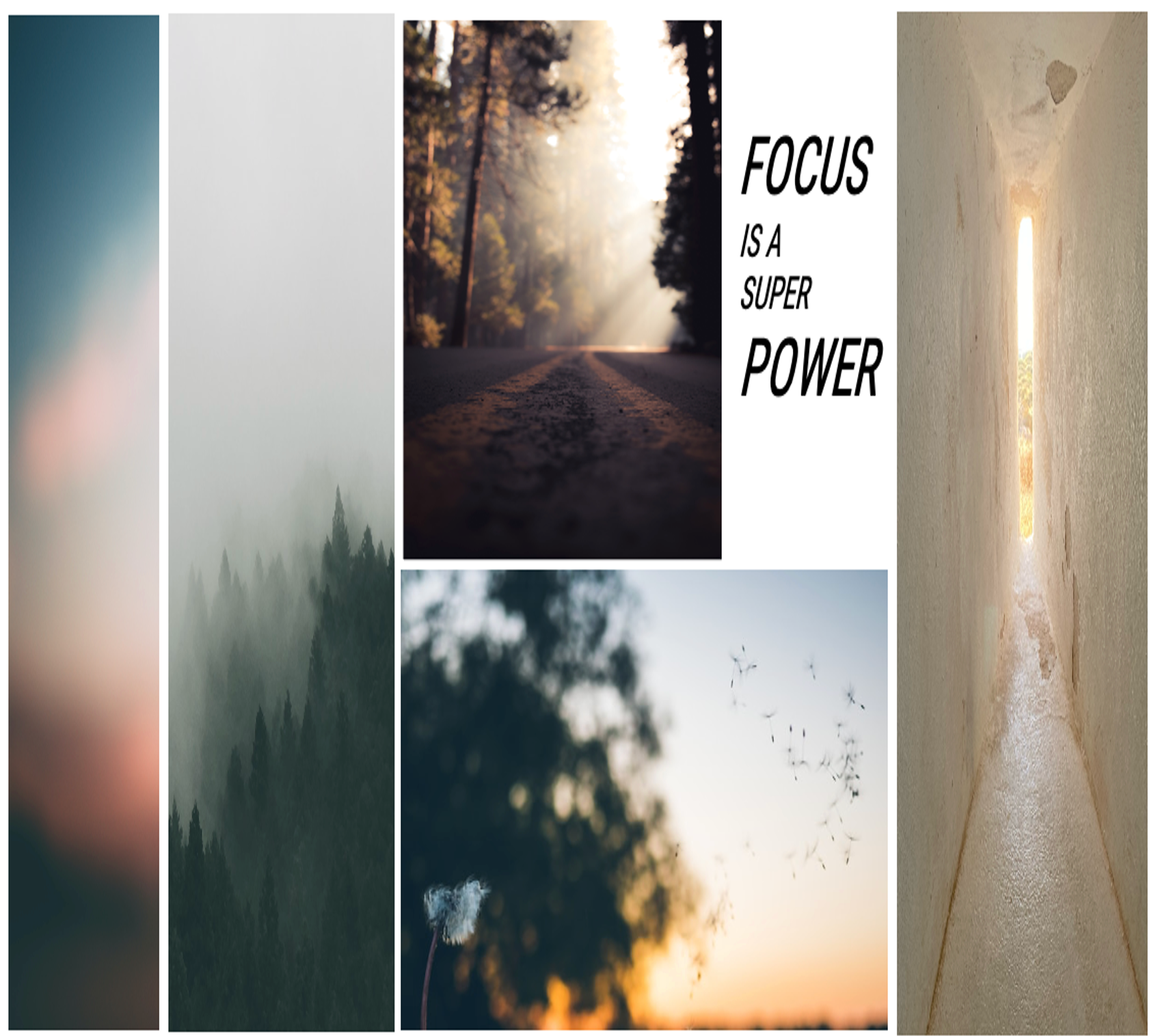 Le pouvoir du flow - Eau de Parfum - Focus