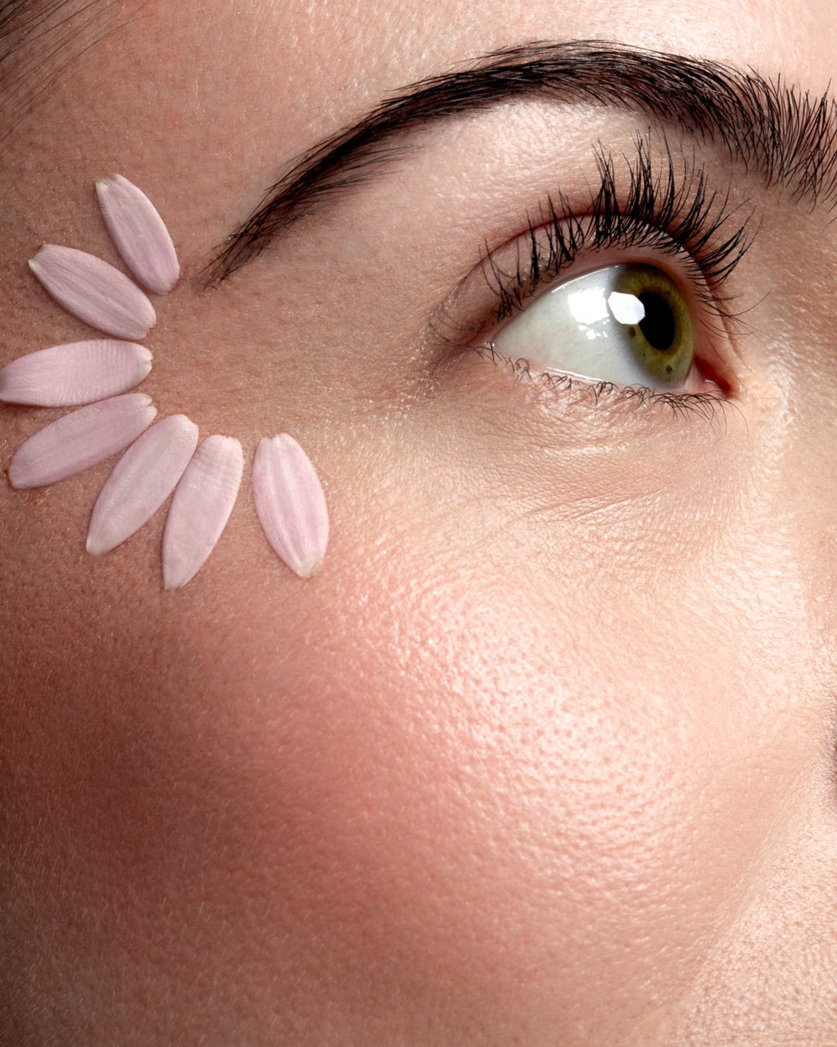 La poudre dual I Blush & Highlighter