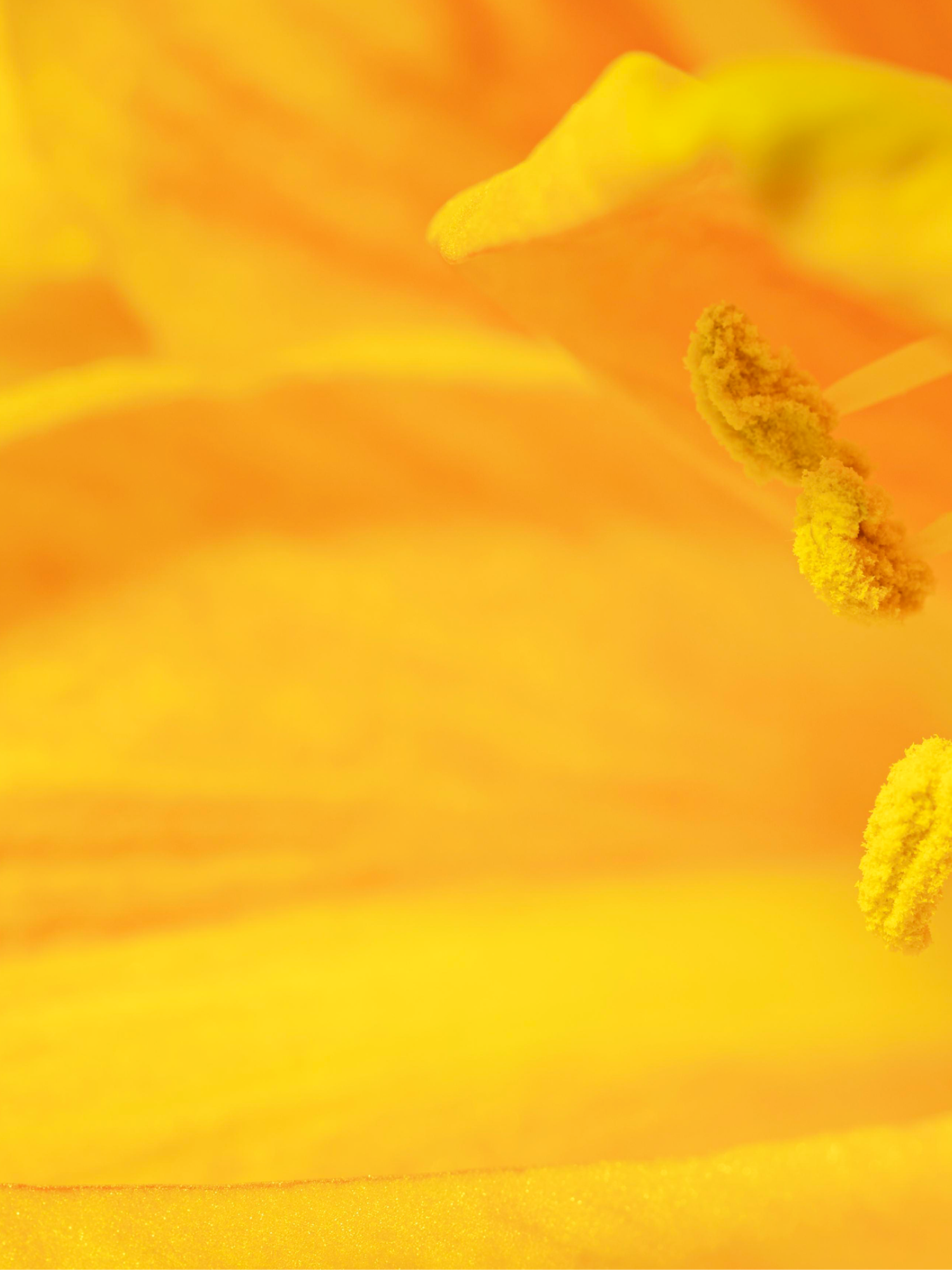 Lait corps Réparateur