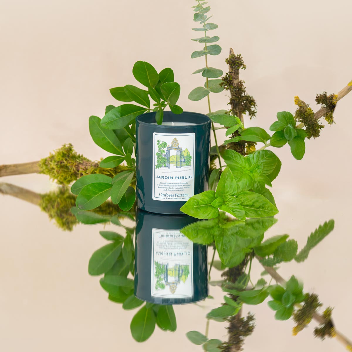 Bougie parfumée Jardin Public 210g