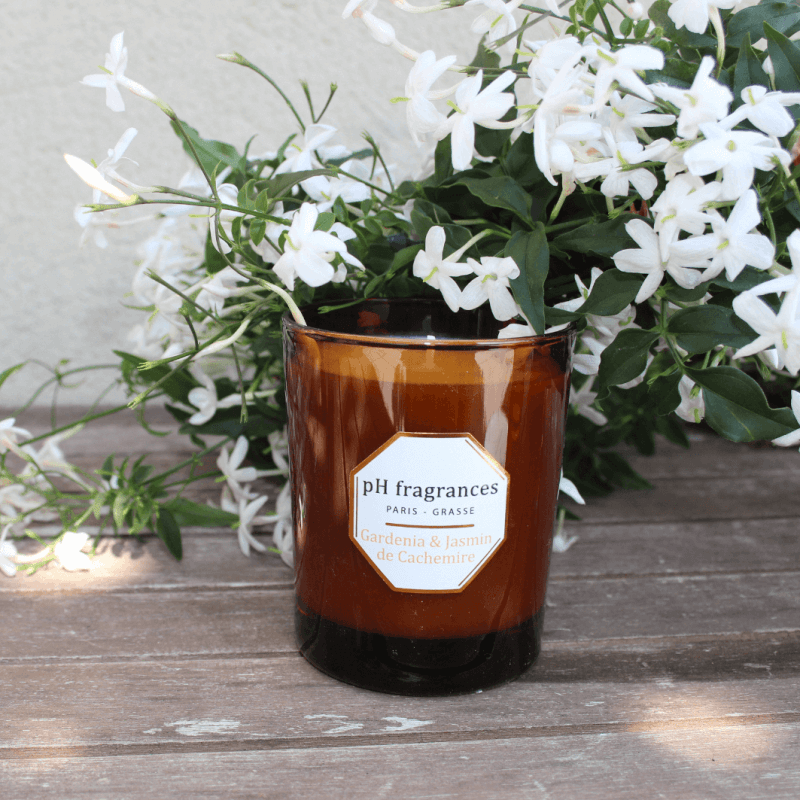 Gardenia & Cashmere Jasmine Candle