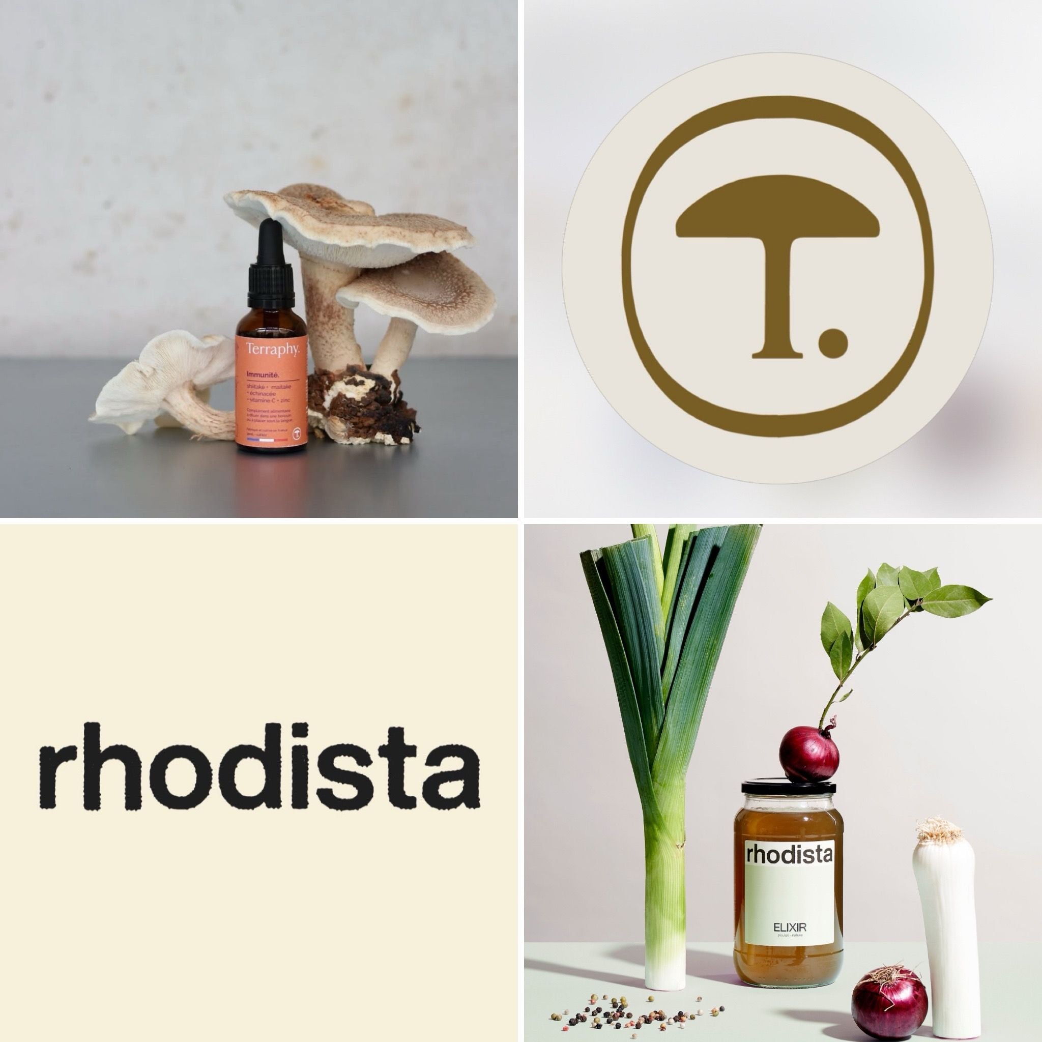 Pack Synergie – Terraphy x Rhodista