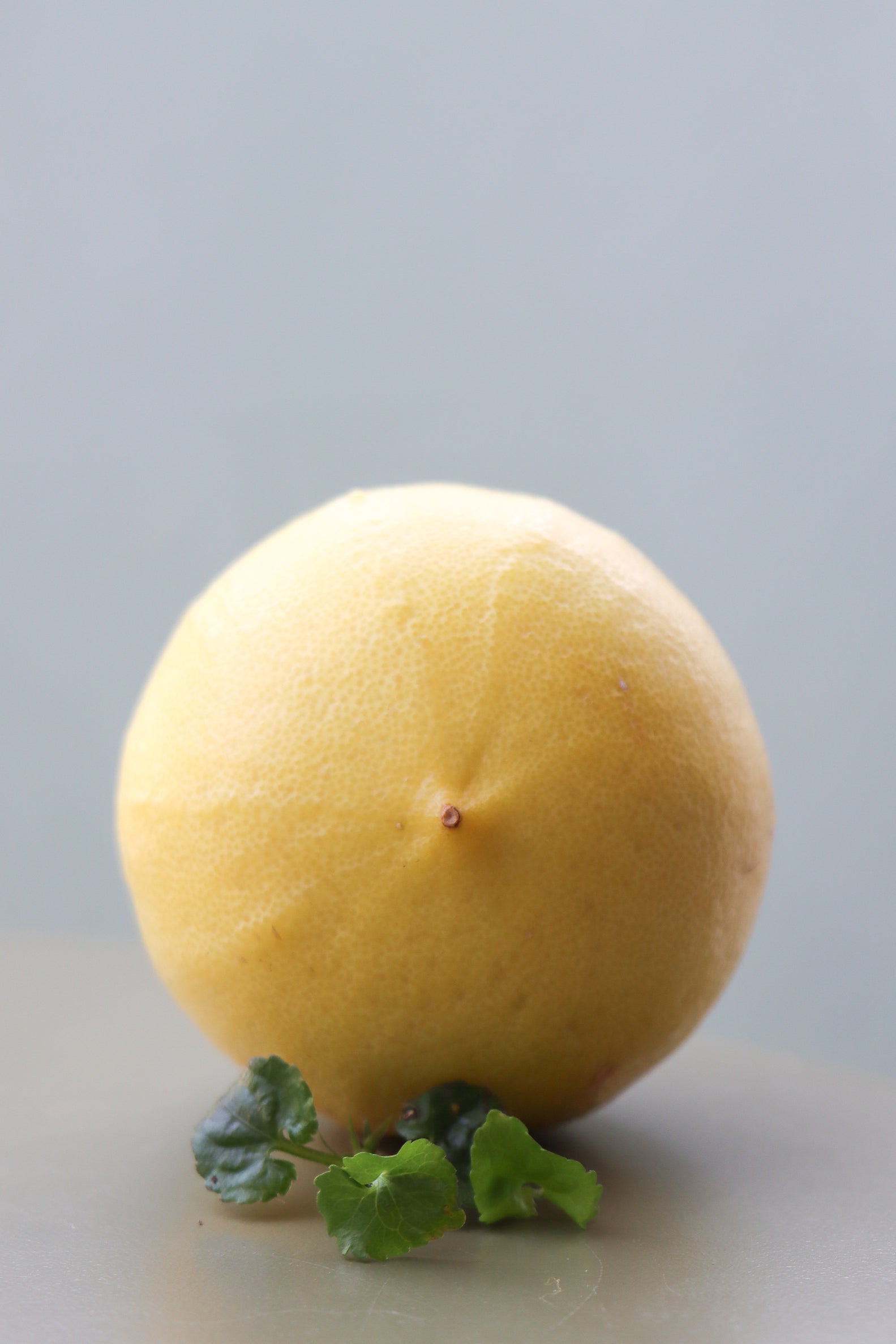 EAU BELLES TOILETTES | bergamote, jasmin, feuilles de violette