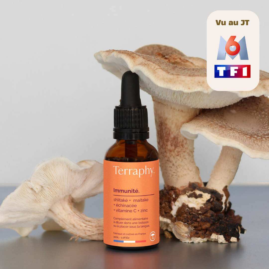 Pack Synergie – Terraphy x Rhodista