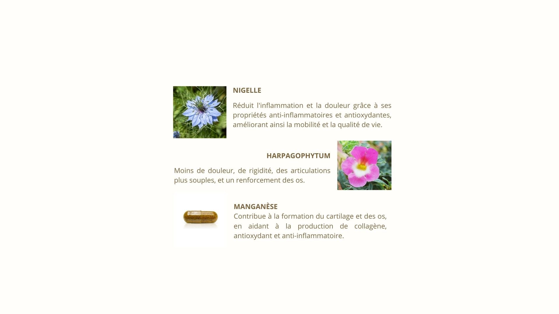 Articulations - Thymoquinone 20mg - Cure de 2 mois