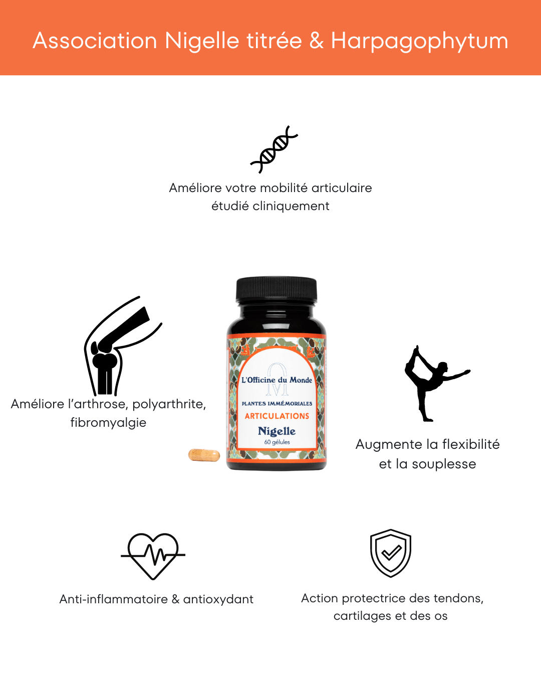 Articulations - Thymoquinone 20mg - Cure de 2 mois