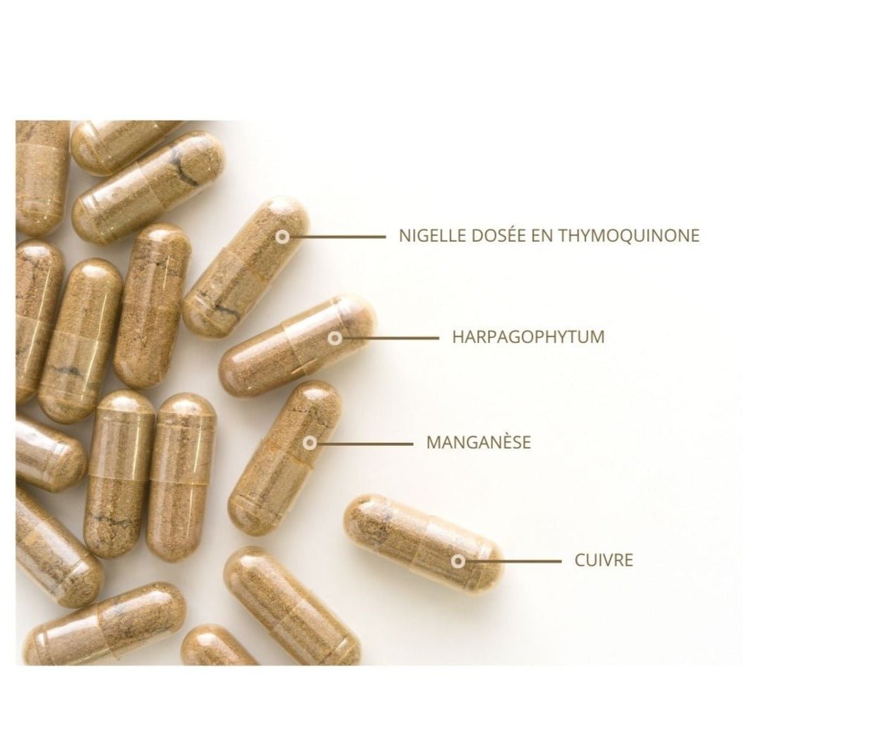 Articulations - Thymoquinone 20mg - Cure de 2 mois