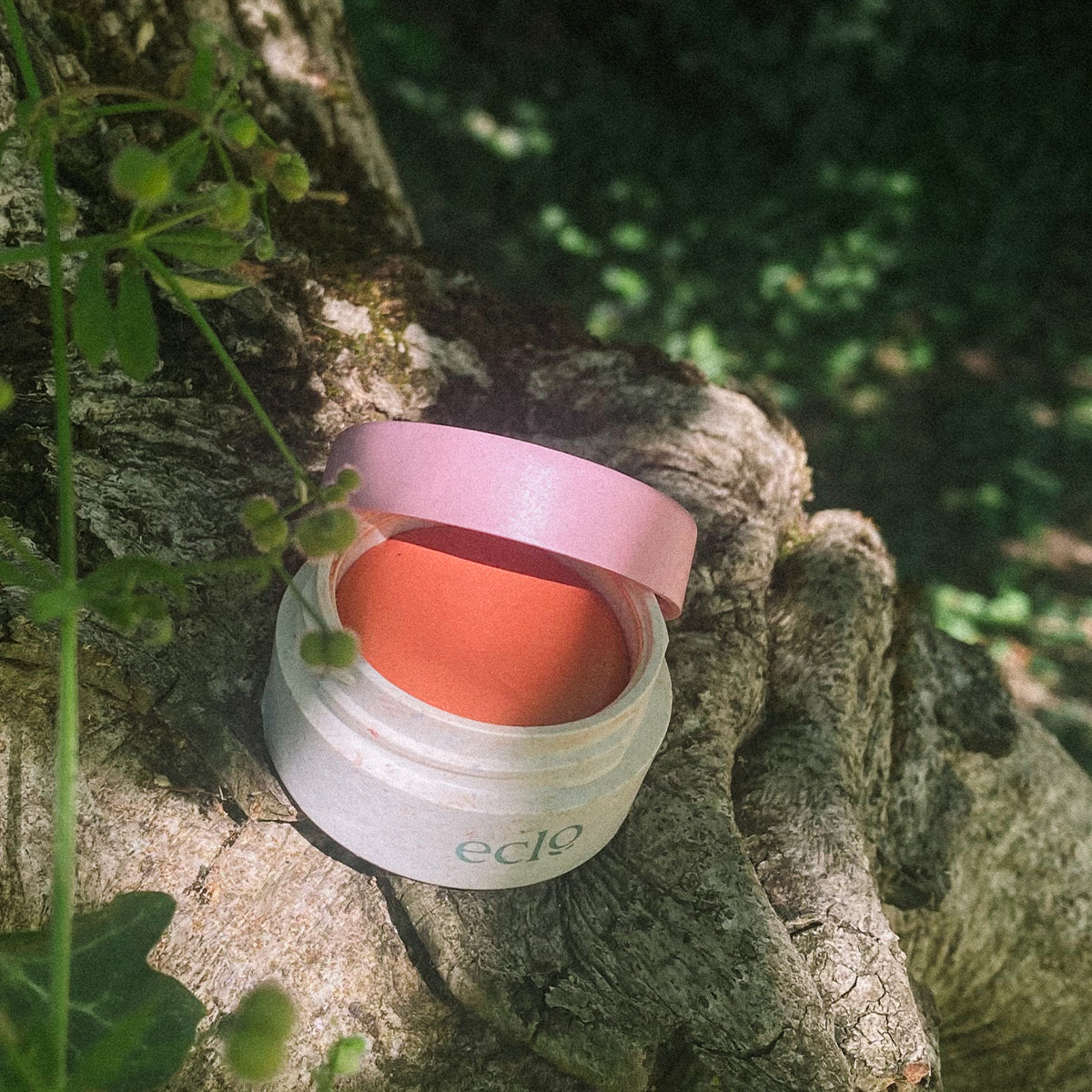 Blush 004 Corail Breeze