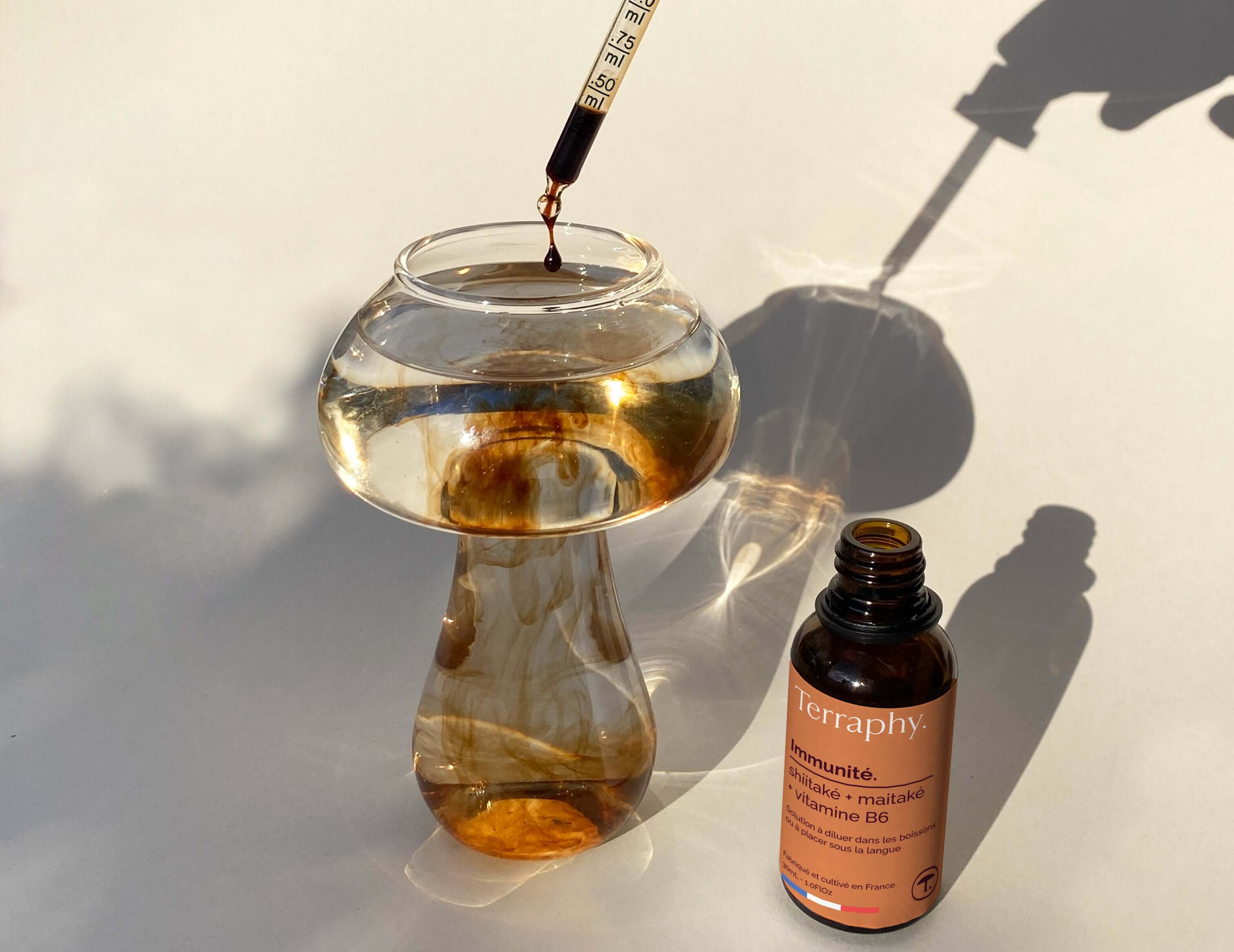 Pack Synergie – Terraphy x Rhodista