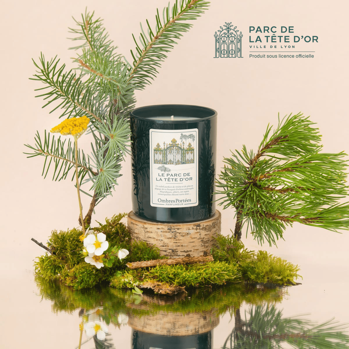 Bougie parfumée Le Parc de la Tête d'Or 210g