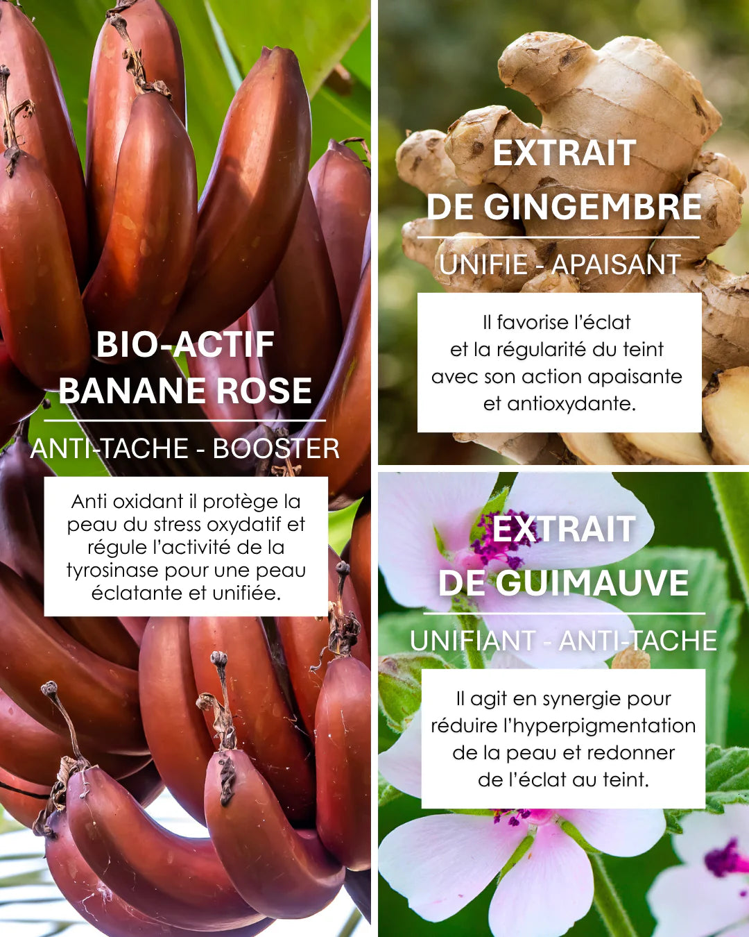Sérum Booster d'Éclat Pink Oil - UNIFIE & ANTI-TACHES