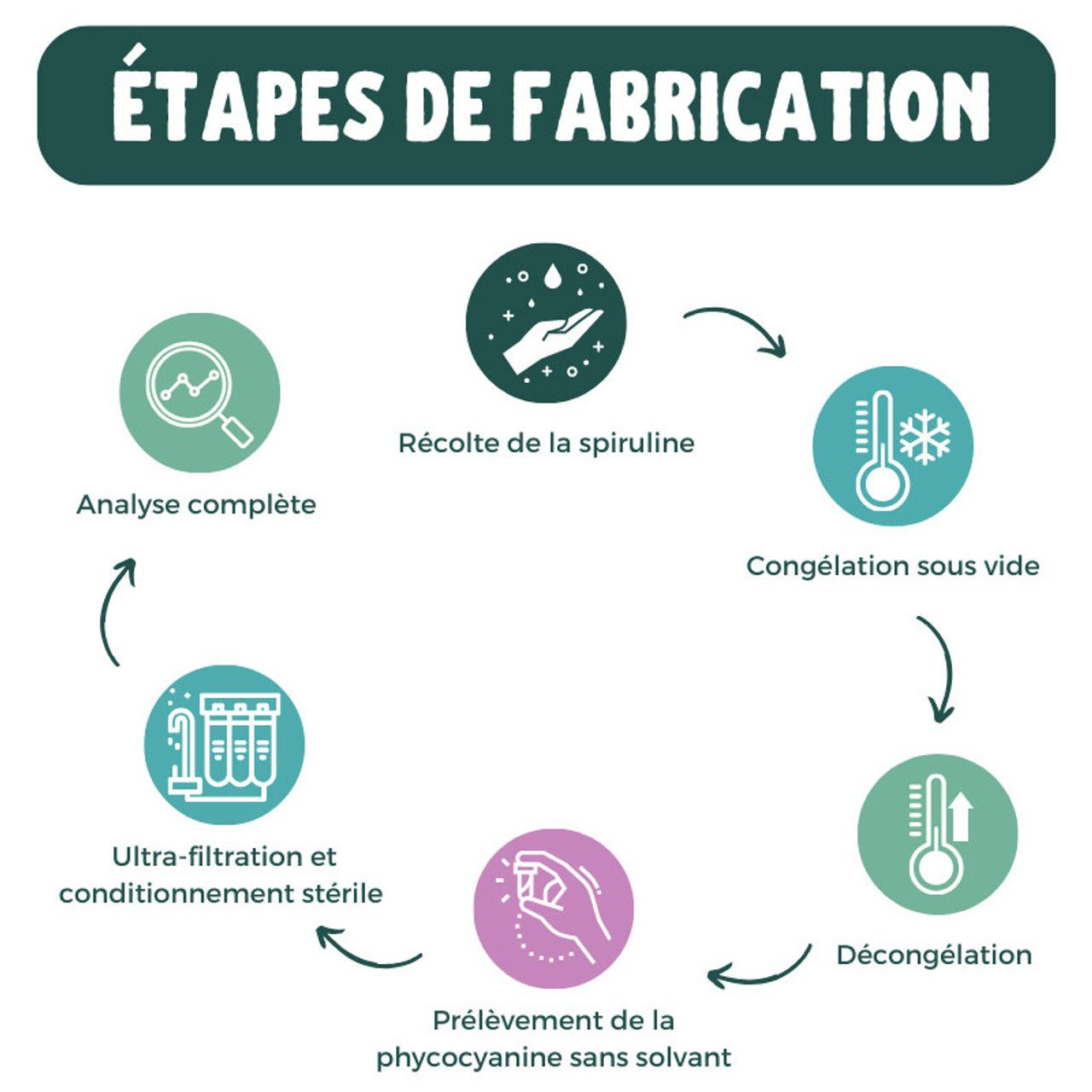 Phycocyanine Bio française et sans conservateur - 5000 mg/l - 10 ampoules