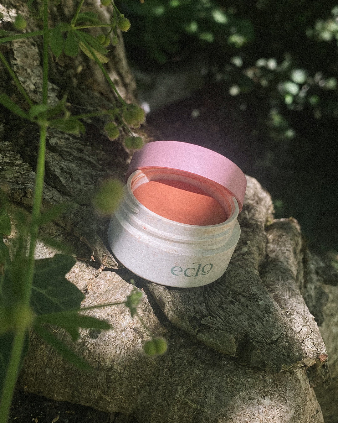 Look Bold Blush