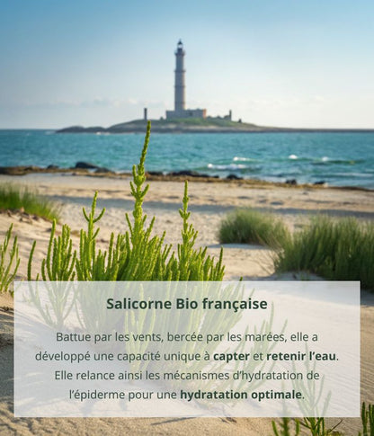 Lait hydratant à la salicorne