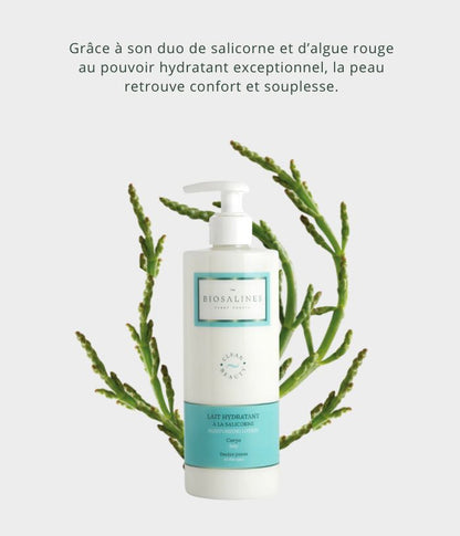 Lait hydratant à la salicorne