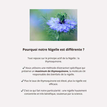 Santé de la peau - Nigelle titrée en Thymoquinone