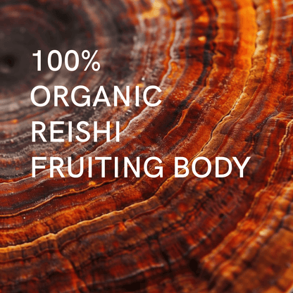 Extrait Reishi Bio