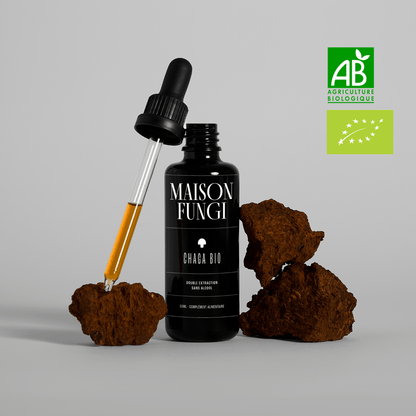 Extrait Chaga Bio
