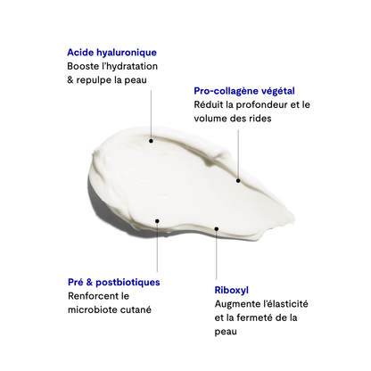 Crème de nuit régénérante prébiotique
