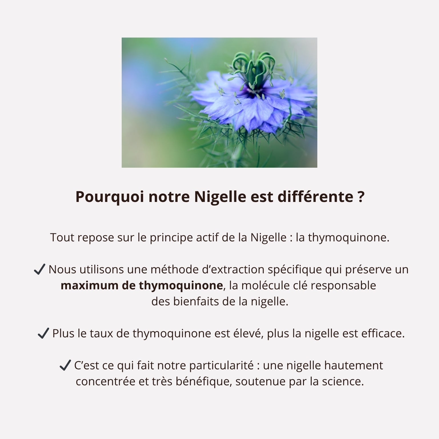 Fertilité Masculine - Nigelle & Maca