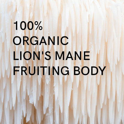 Extrait Lion’s Mane Bio