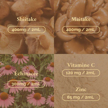 Pack Synergie – Terraphy x Rhodista