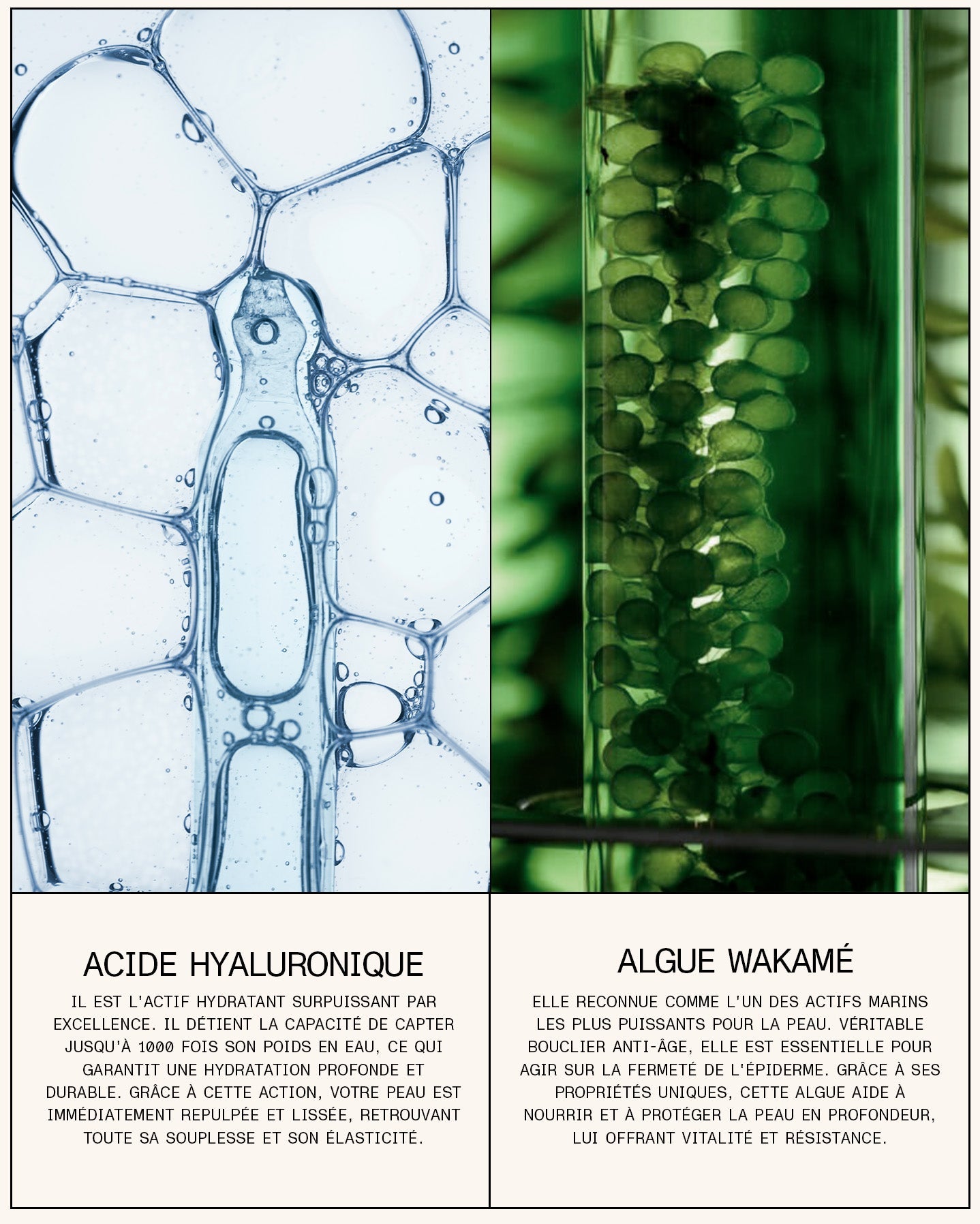 Sérum lèvres régénérant Acide hyaluronique + Wakamé