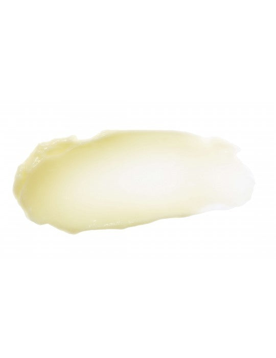 Nouveau Baume lèvres Bio
