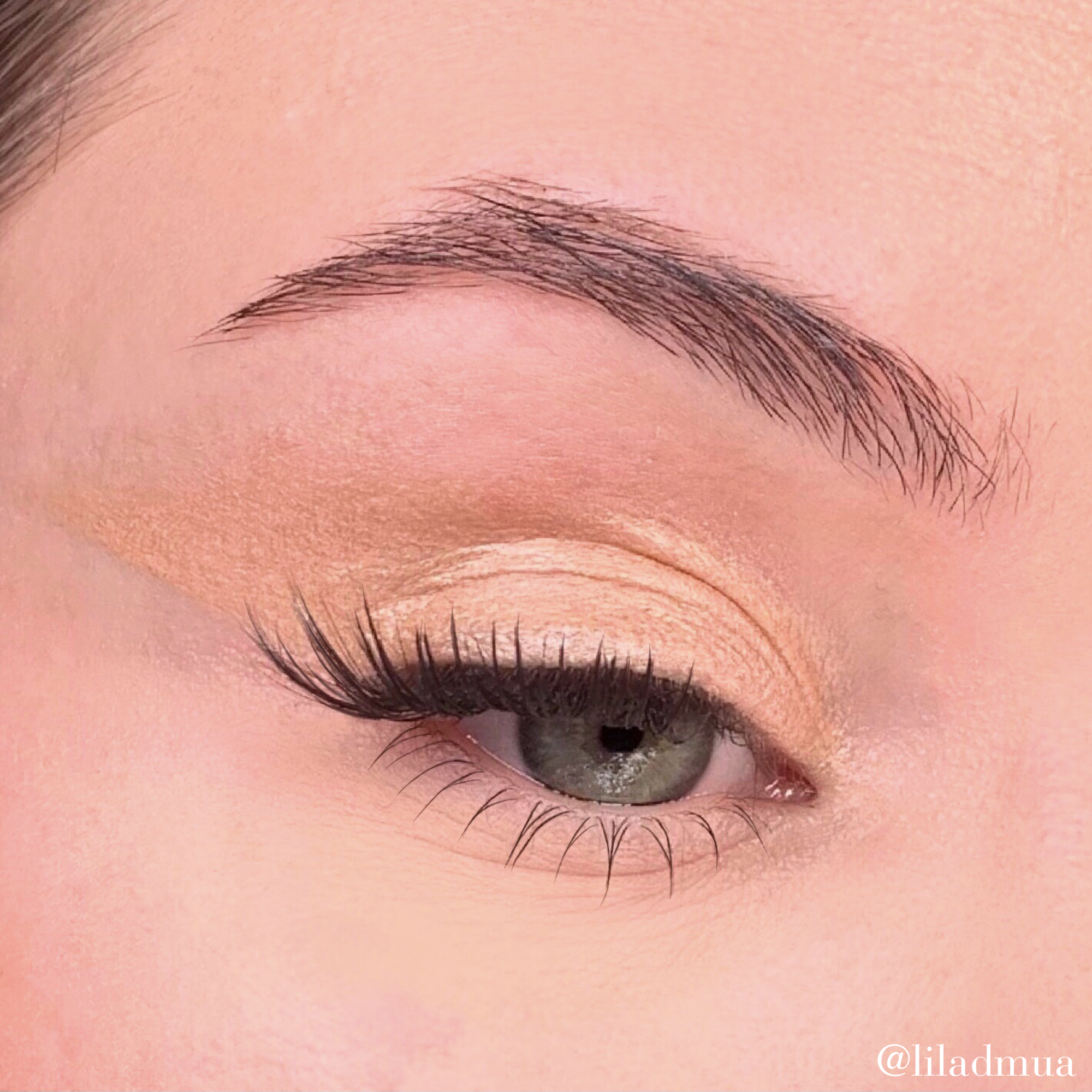 Fard à paupières | Or 311