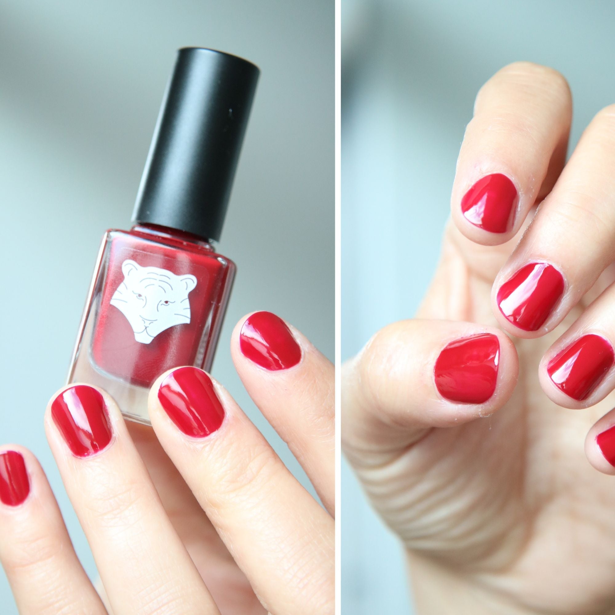Vernis à ongles | Rouge Bordeaux 207