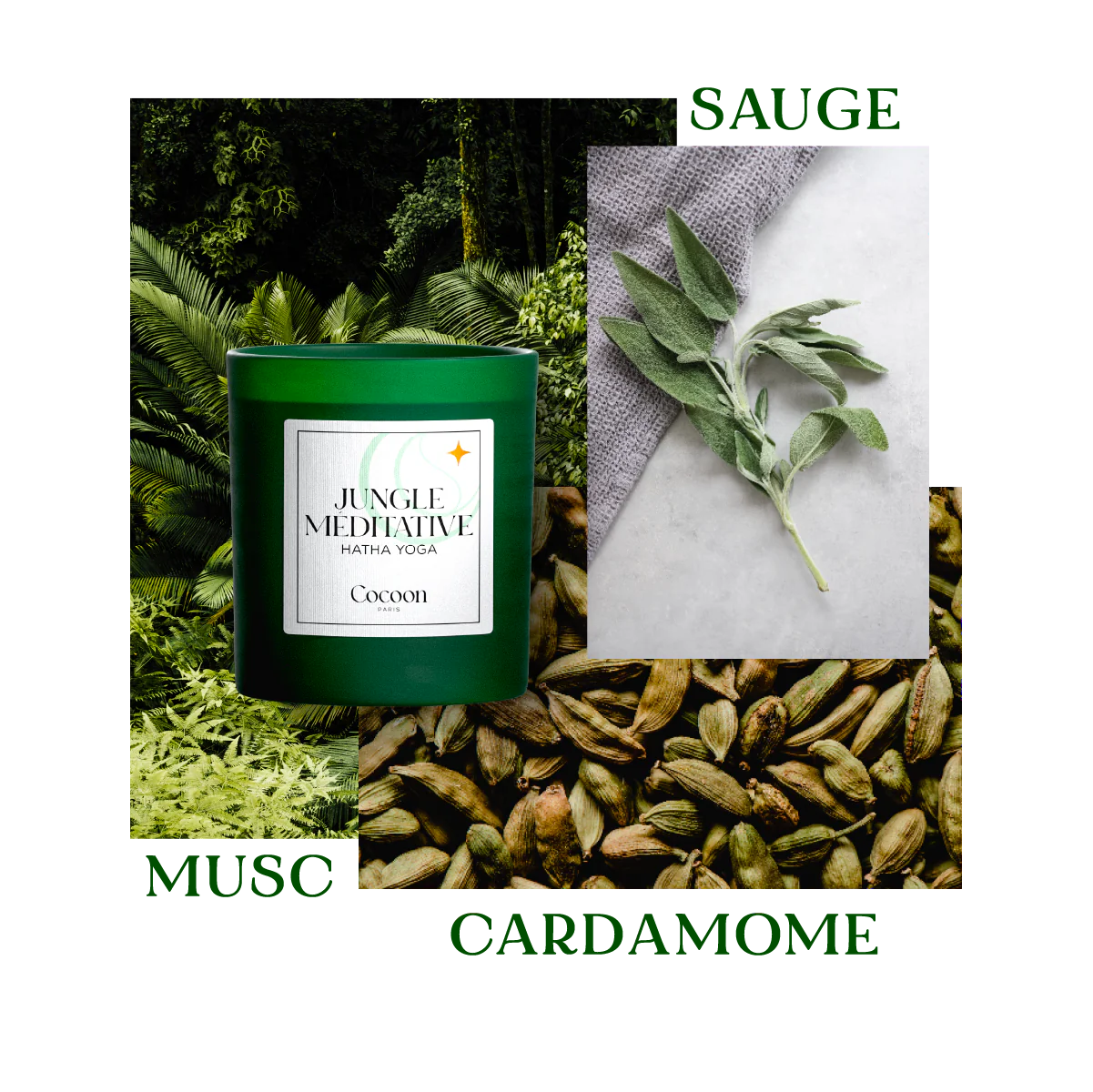 BOUGIE RELAXATION - JUNGLE MEDITATIVE