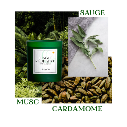 BOUGIE RELAXATION - JUNGLE MEDITATIVE