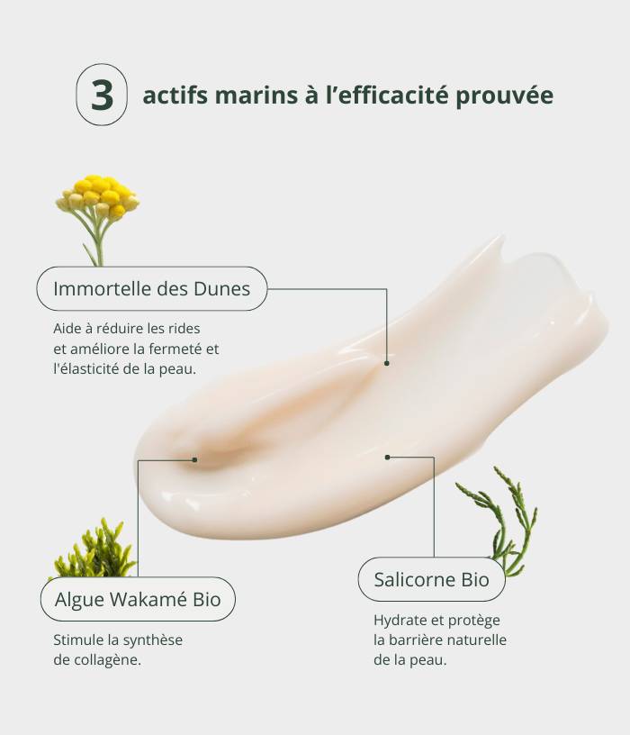 Crème anti-âge à l'immortelle des dunes