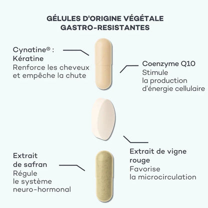 Programme Masse-Capillaire - Anti-chute & Redensifiant