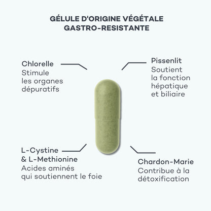 Détox Foie