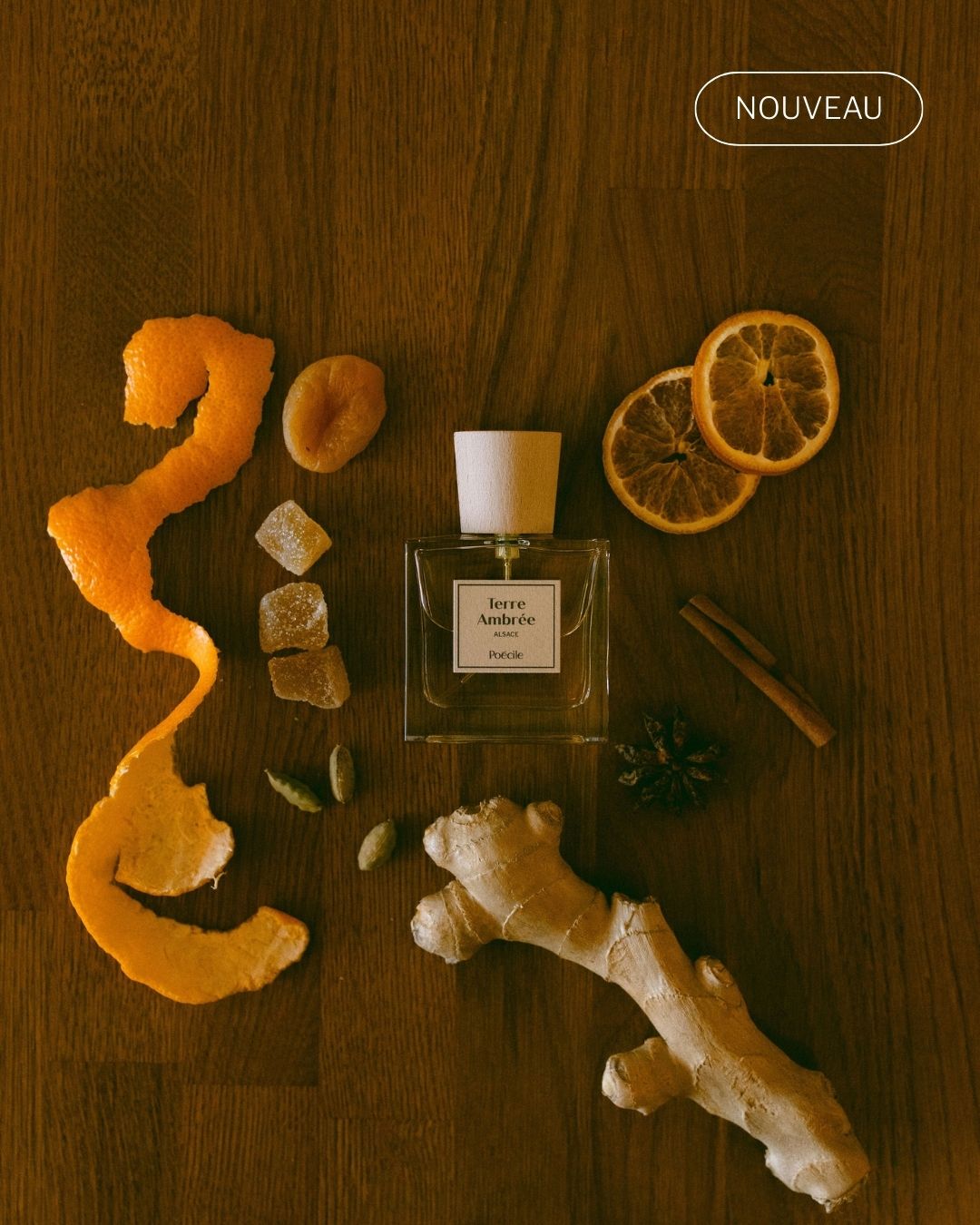 Terre Ambrée