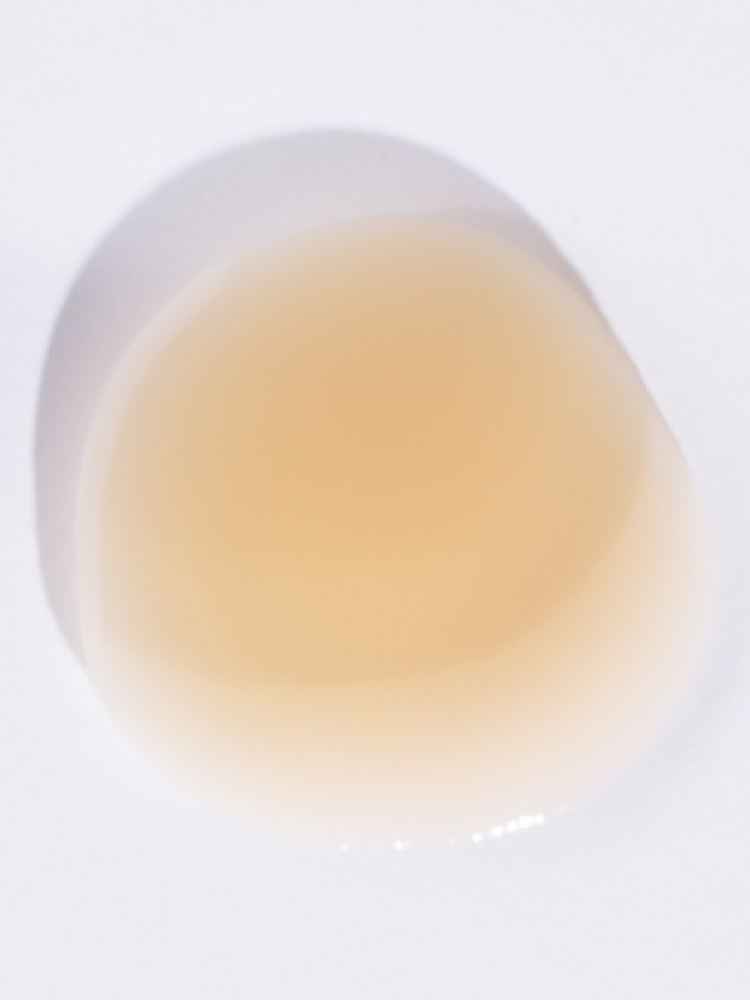 Sérum Antioxydant