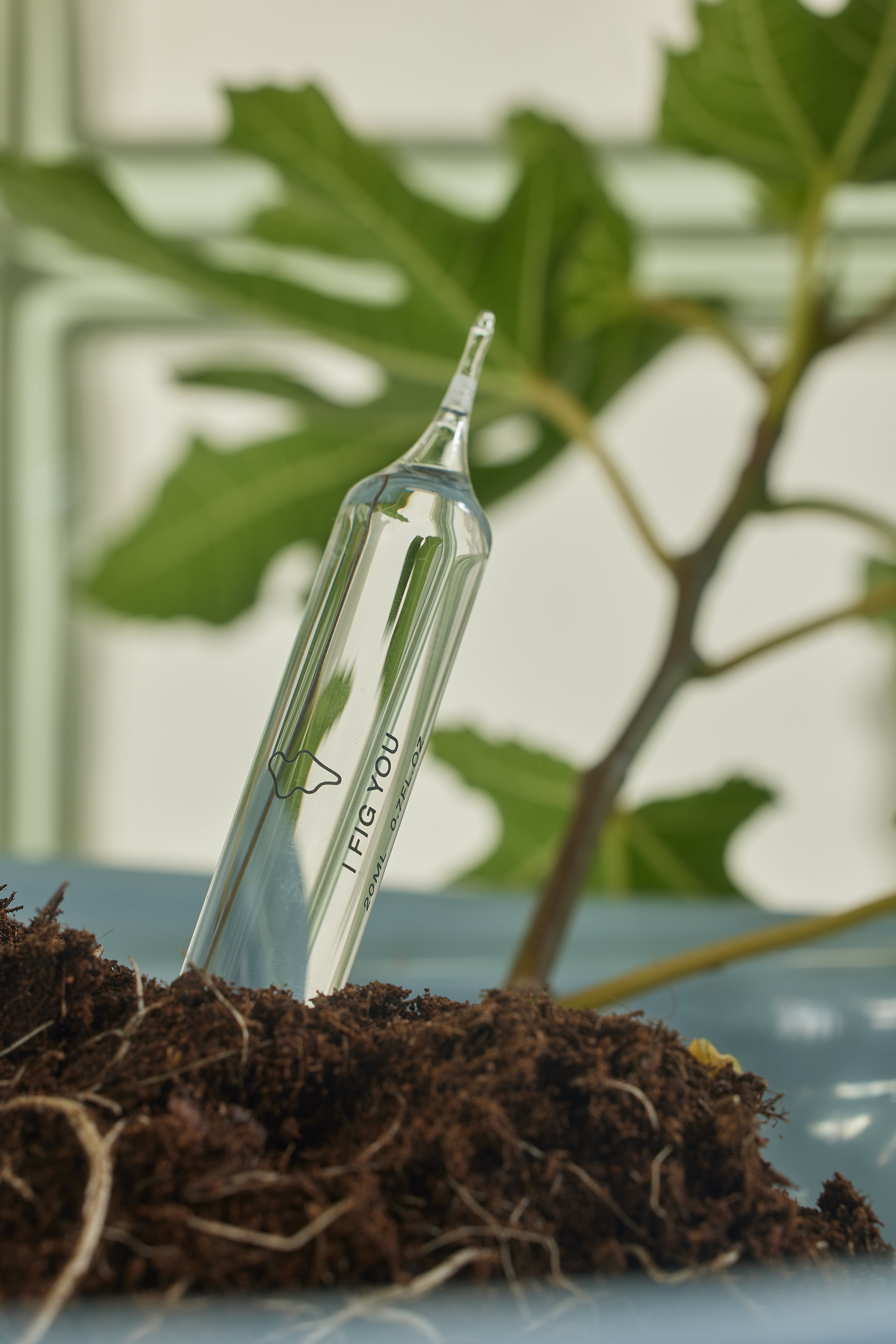 RECHARGES AMPOULES I FIG YOU