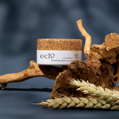 Fond de teint correcteur 315W Chocolat