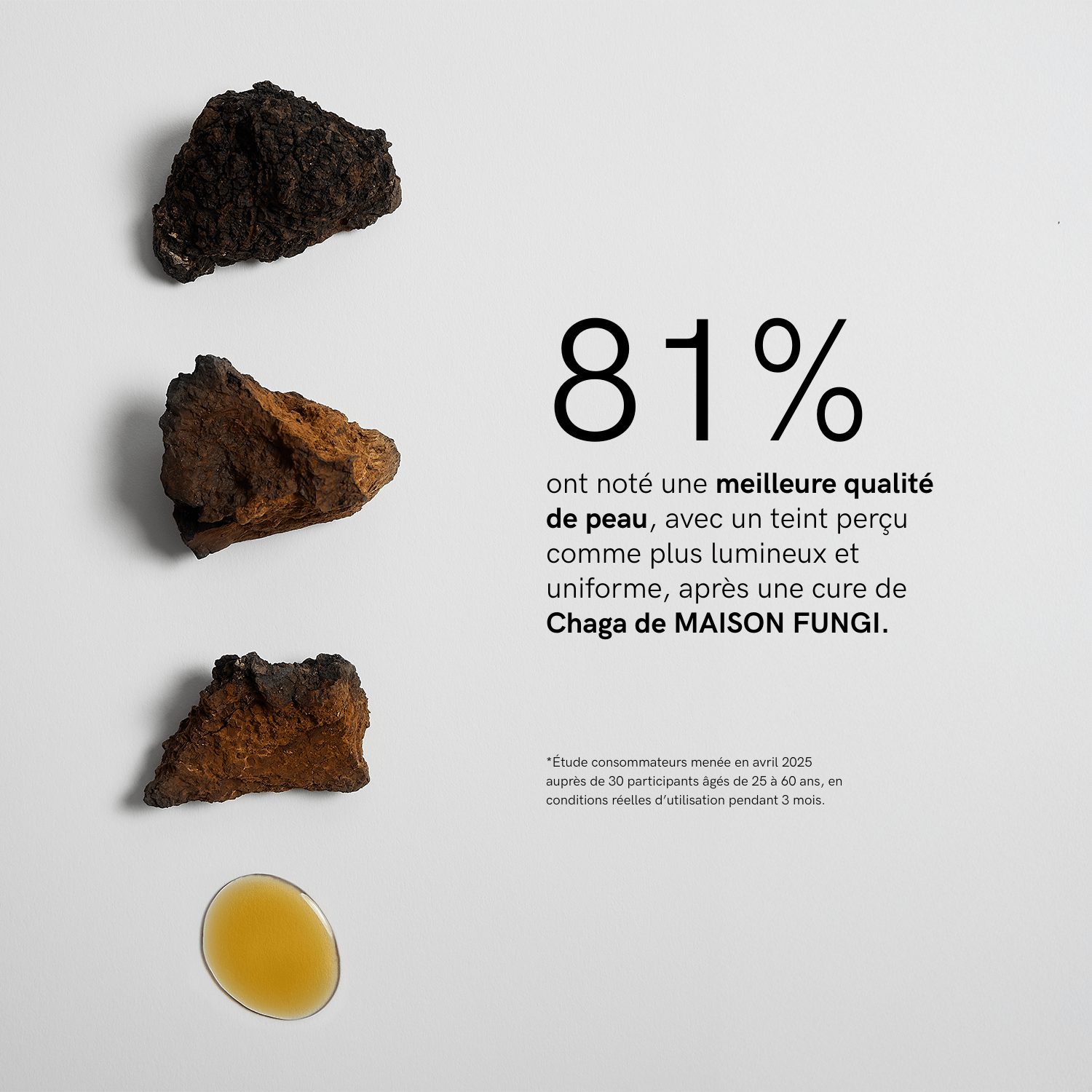 Extrait Chaga Bio