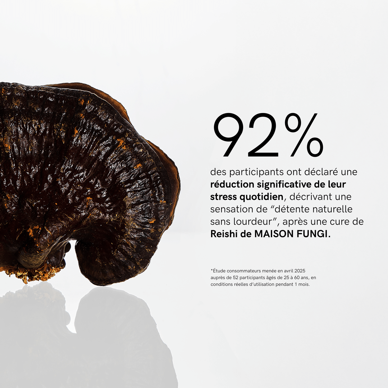Extrait Reishi Bio
