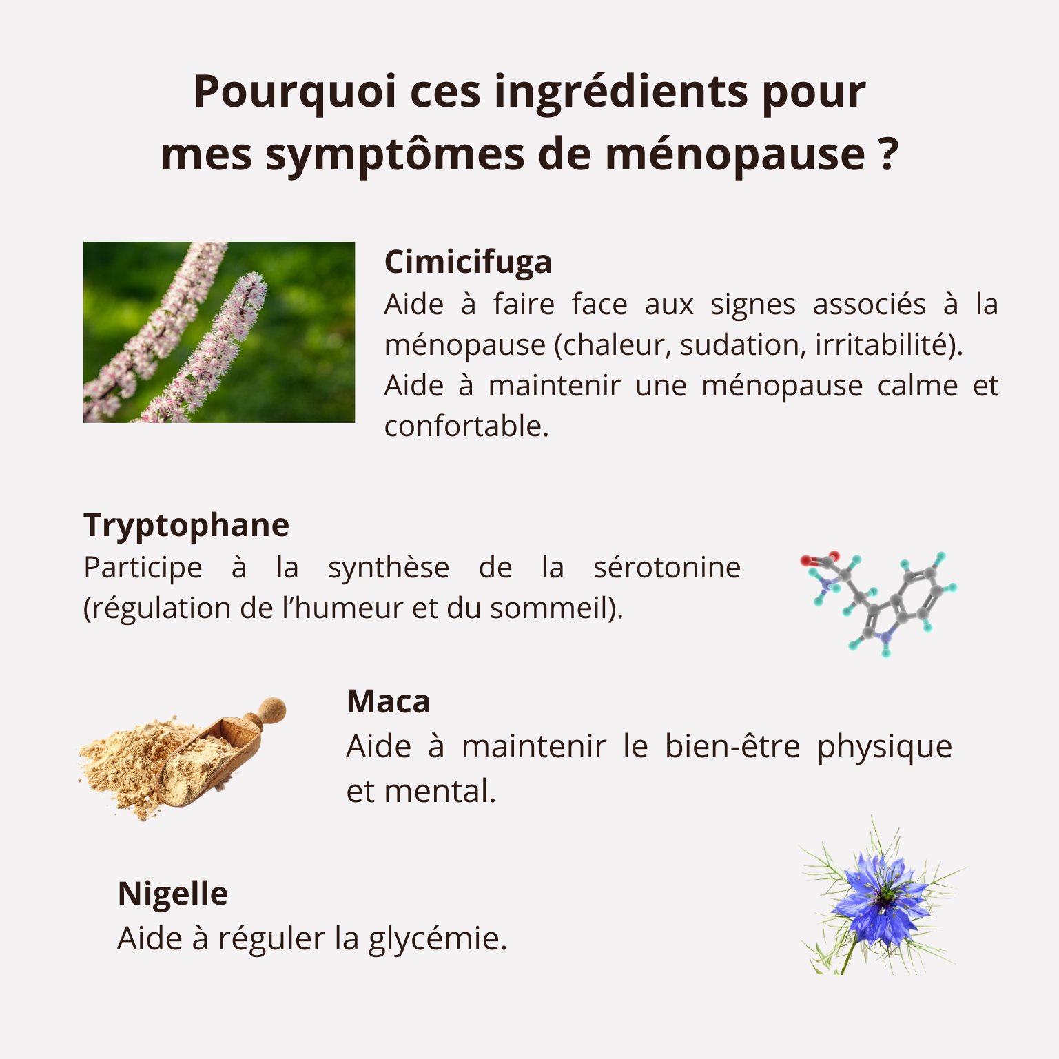 Ménopause - Nigelle titrée en Thymoquinone