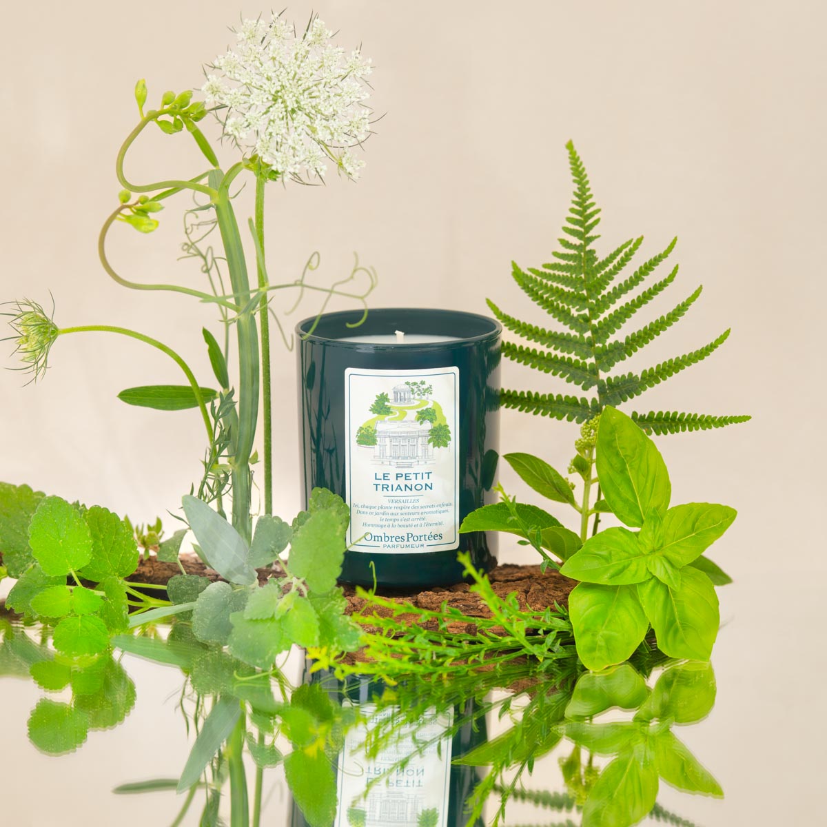 Bougie parfumée Le Petit Trianon 210g